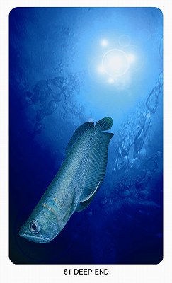 大阪占い,占い大阪,霊視占い,占,レイキ,タロット,無料占い,無料占,dakini oracle,dakini,oracle,ダキニ,オラクル,ダキニオラクル,ダキニカード,光明,占い,東京,昭島市,福井県