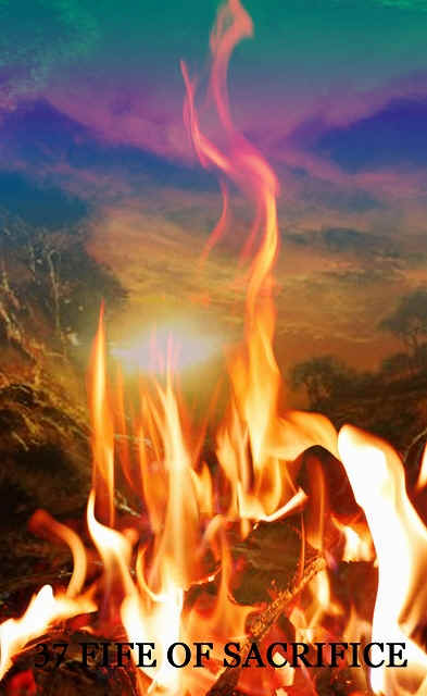 �슴�^���b�g�E�_�L�j�I���N���E�쎋�E���E���Q